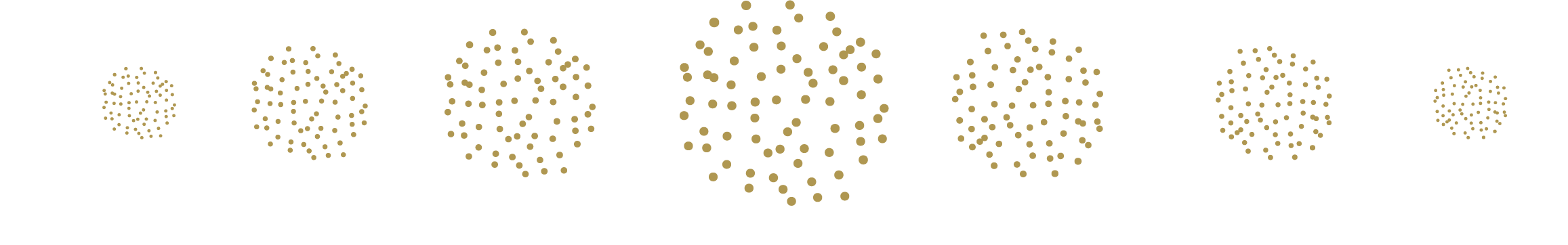 Alessia Pandolfi Tech Expert divisori